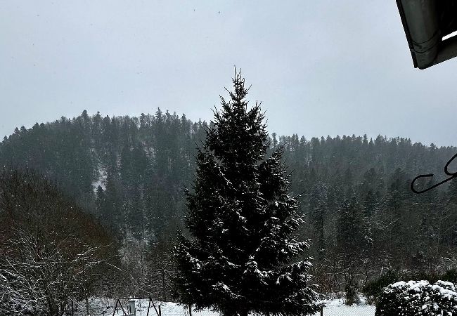 House in Mont-Dore - L'école du Hameau - Mont Dore 9 pers House in Mont-Dore - L'école du Hameau - Mont Dore 9 pers