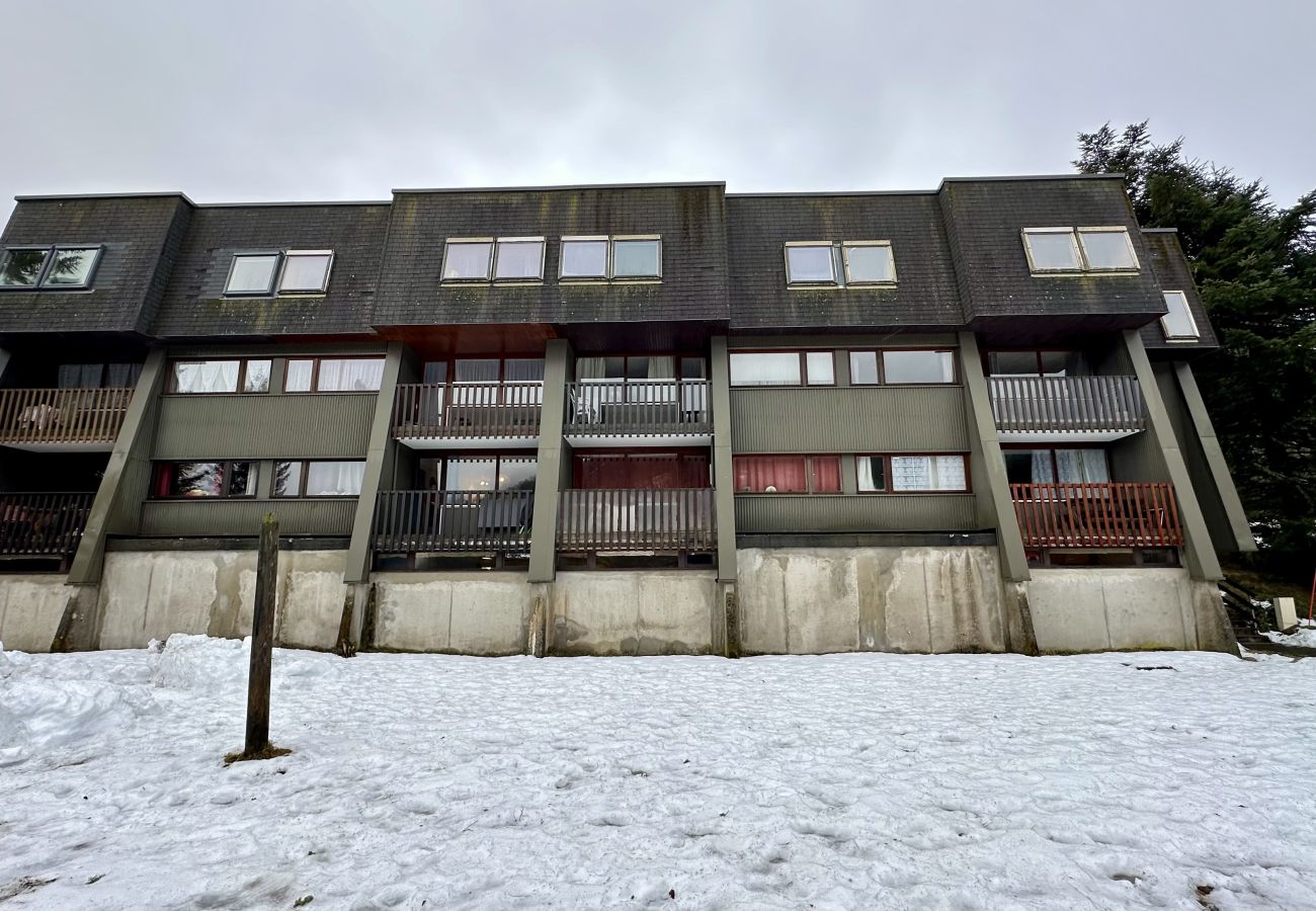 Apartment in Mont-Dore - L'Arverne 238 Le Mont Dore 5pers