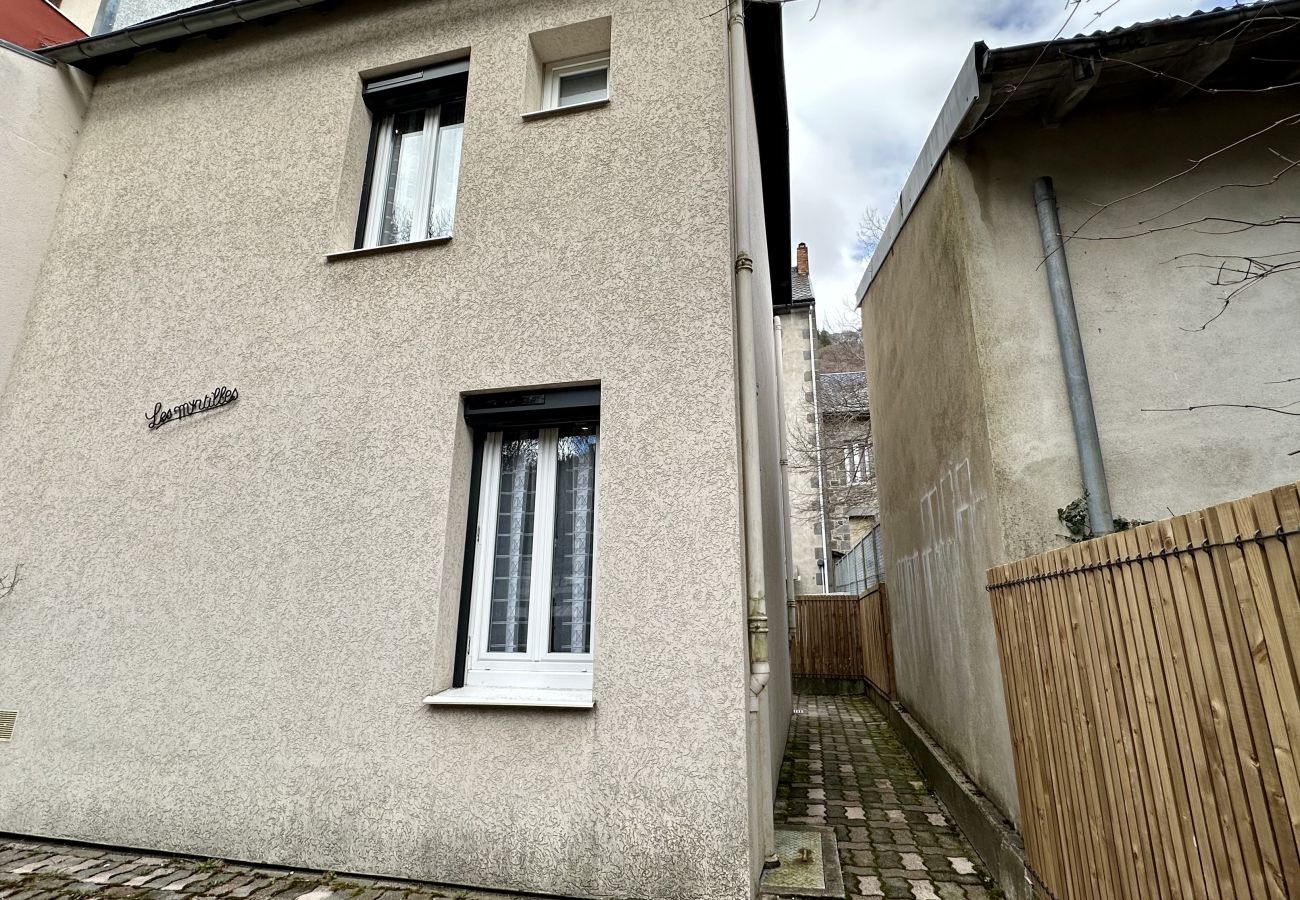 House in Mont-Dore - Les Myrtilles Le Mont Dore 6pers