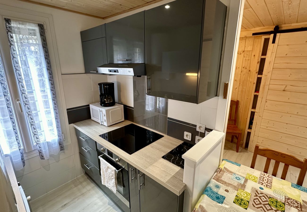 House in Mont-Dore - Les Myrtilles Le Mont Dore 6pers