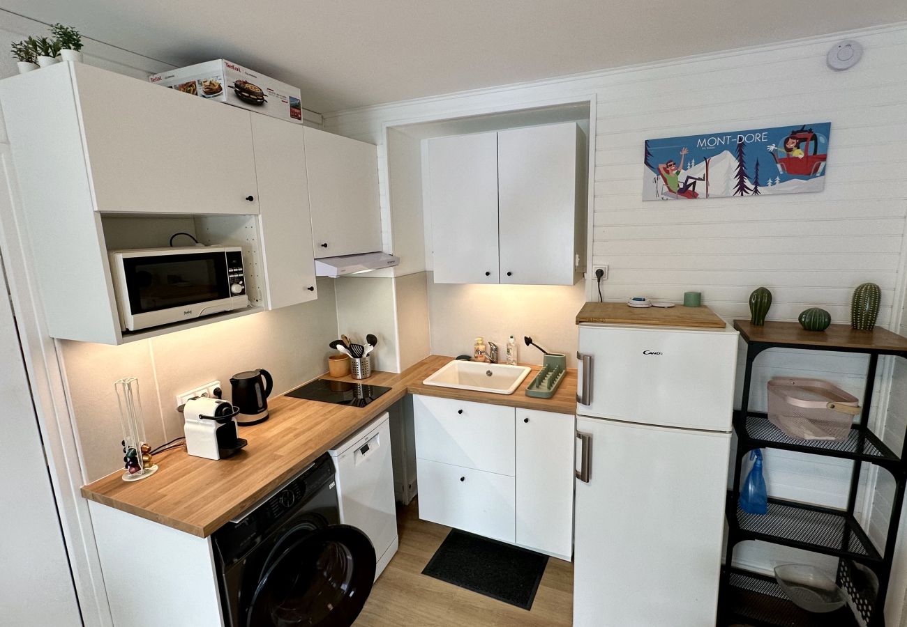 Apartment in Mont-Dore - Le T2 Montlosier Le Mont Dore 4 pers