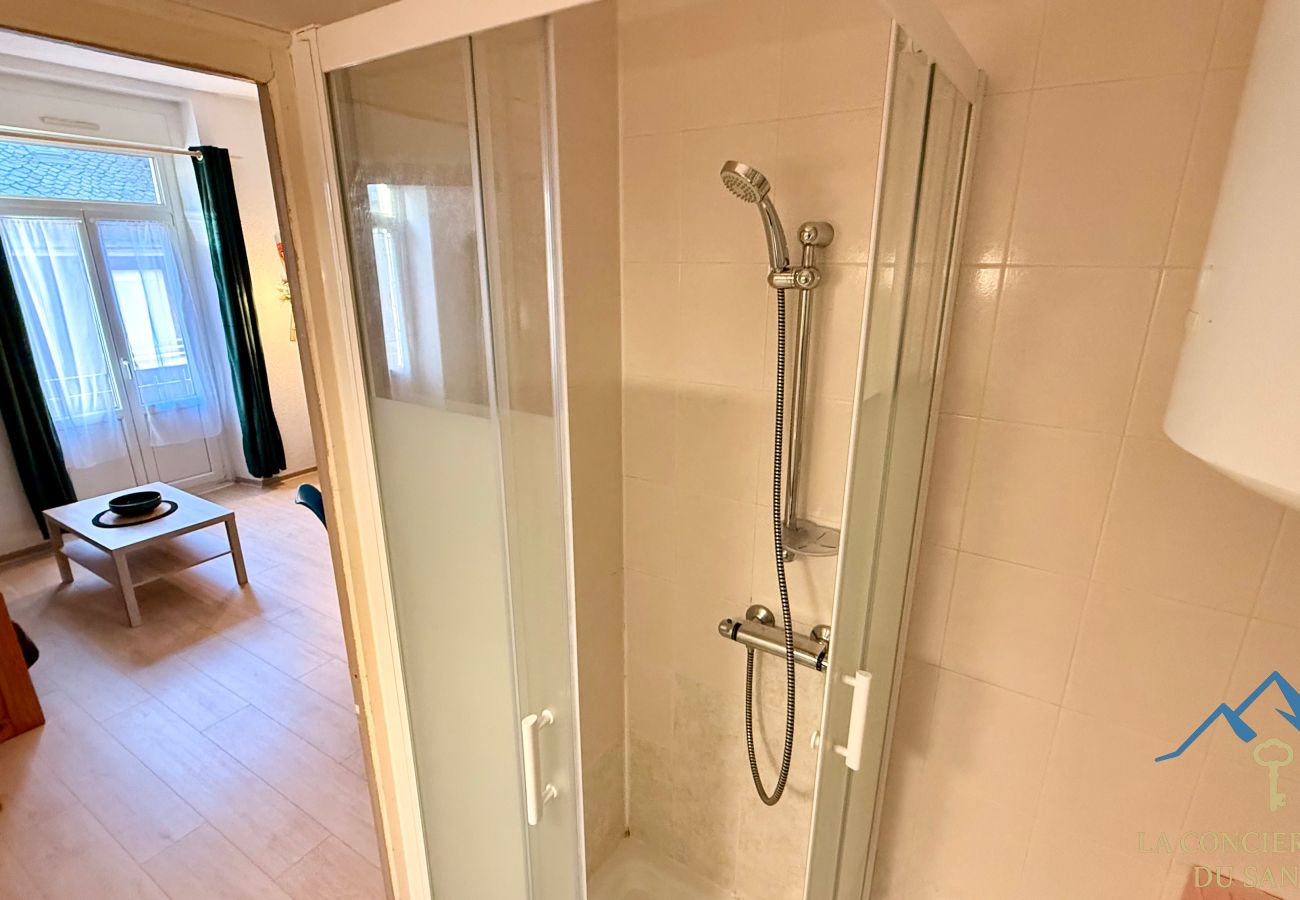 Apartment in Mont-Dore - Villa Bleue 3 Le Mont Dore 4/6pers