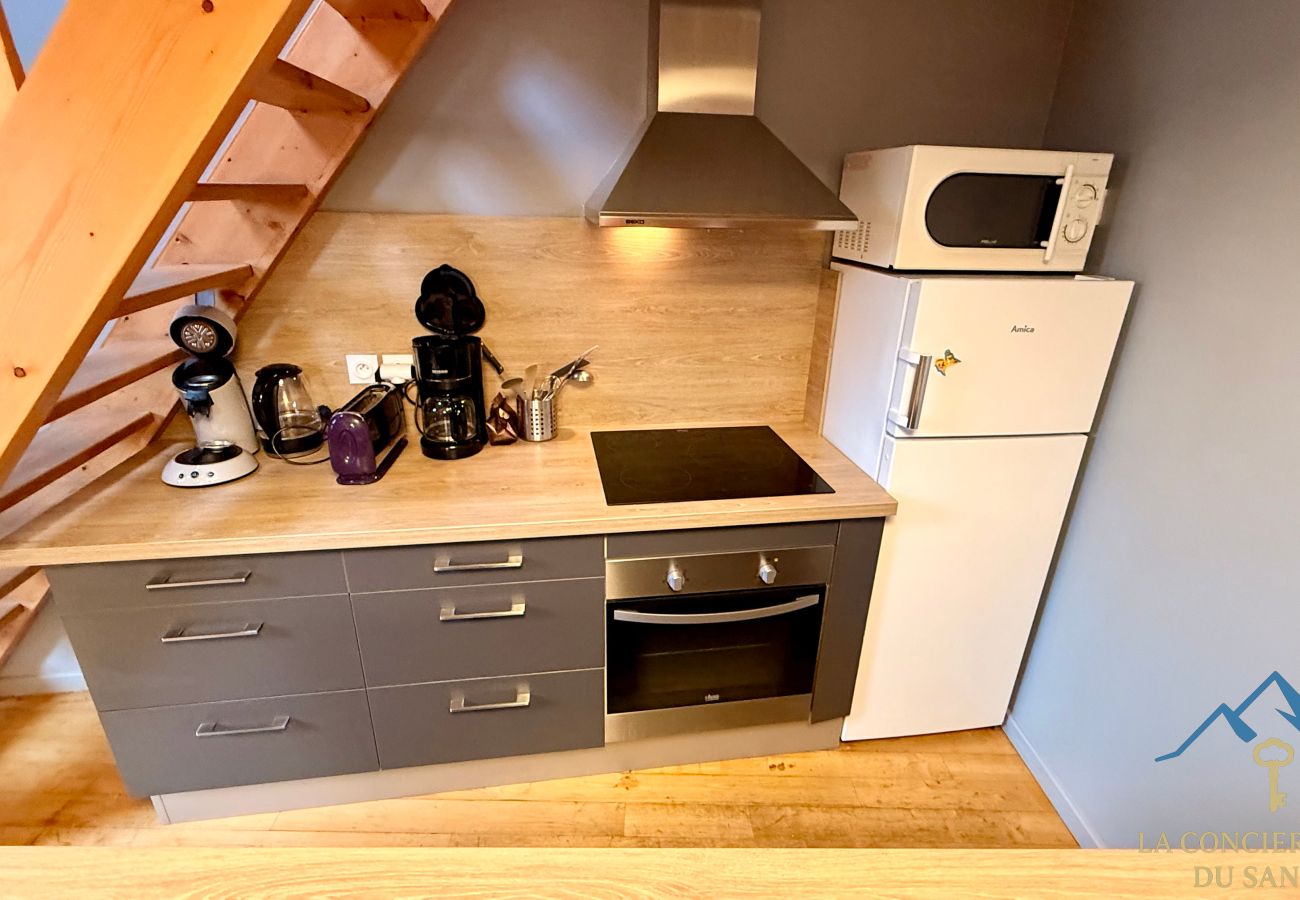 Cottage in Murat-le-Quaire - La Grange BOREL 12 pers Murat Le Quaire