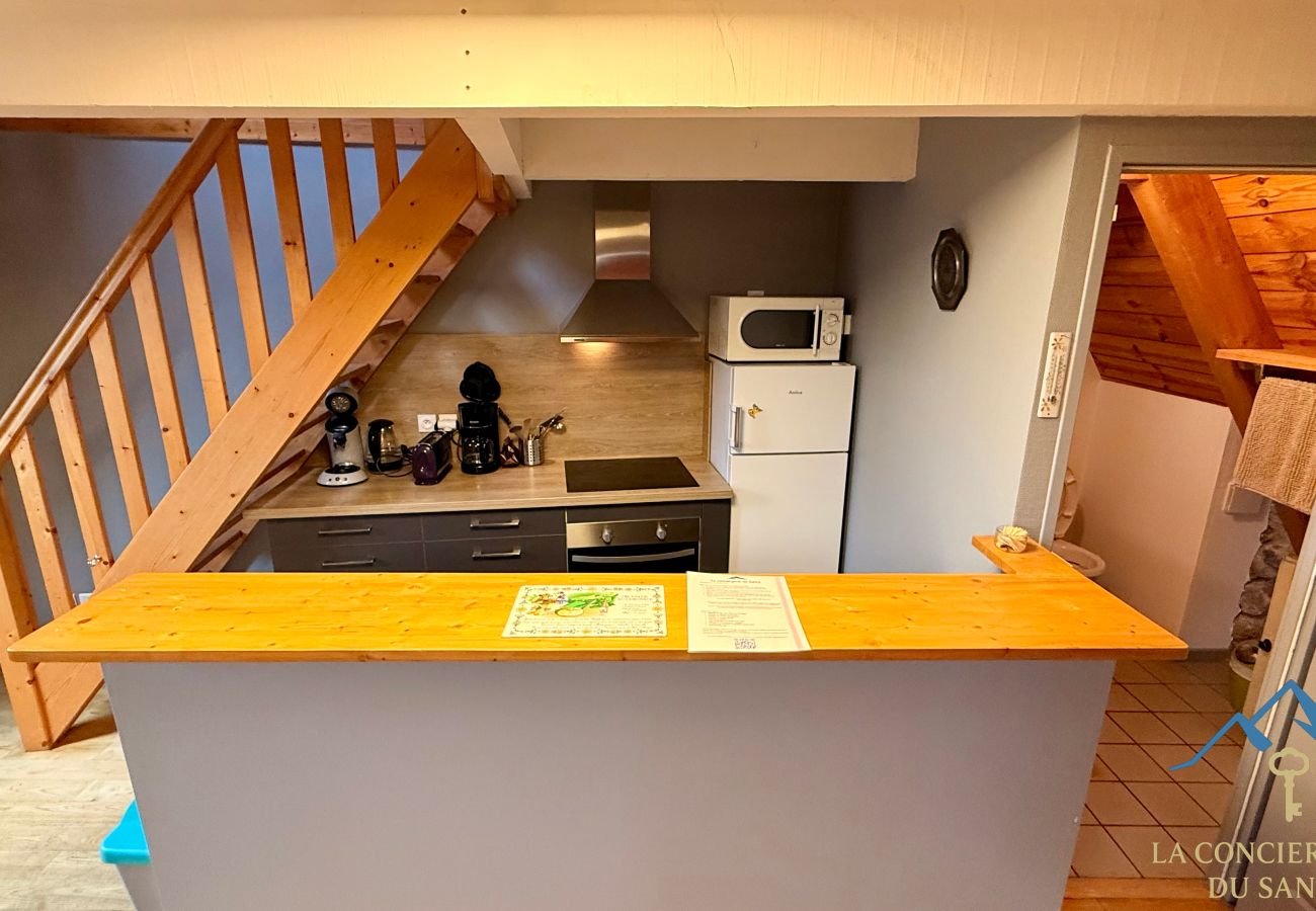 Cottage in Murat-le-Quaire - La Grange BOREL 12 pers Murat Le Quaire