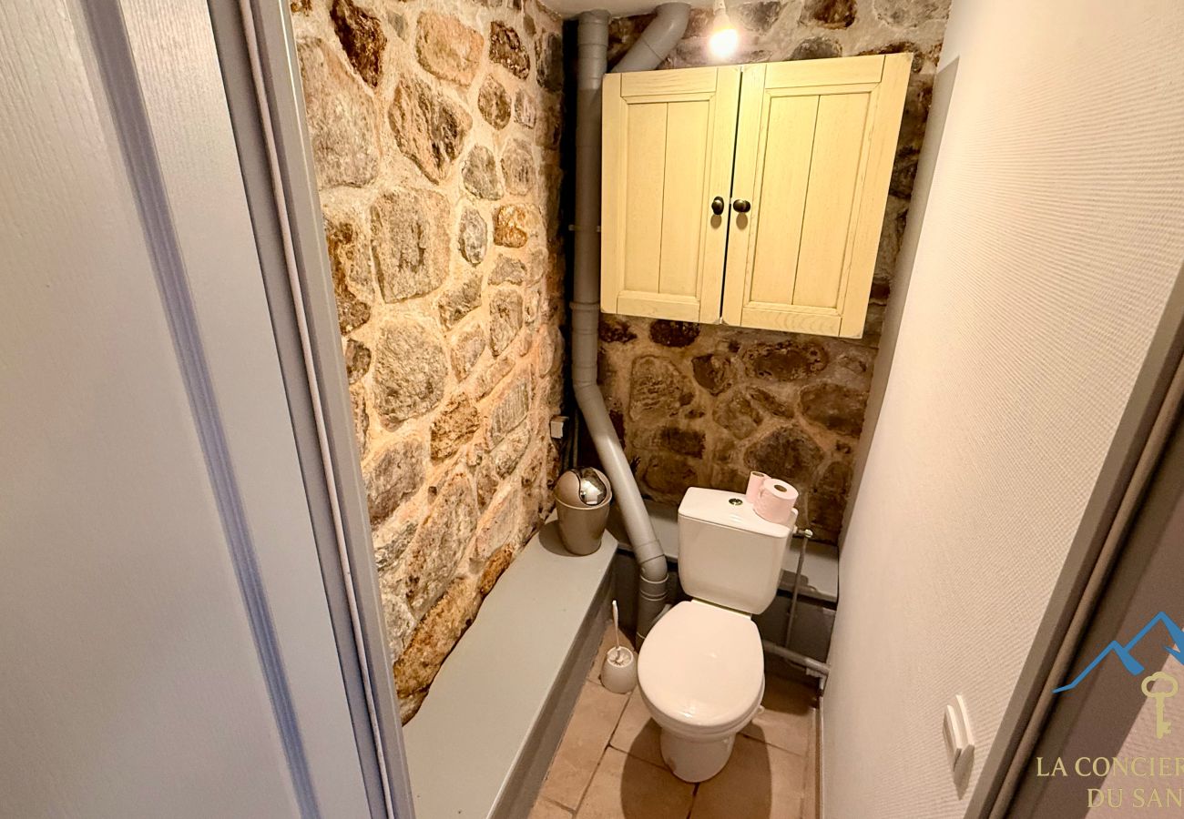 Cottage in Murat-le-Quaire - La Grange BOREL 12 pers Murat Le Quaire