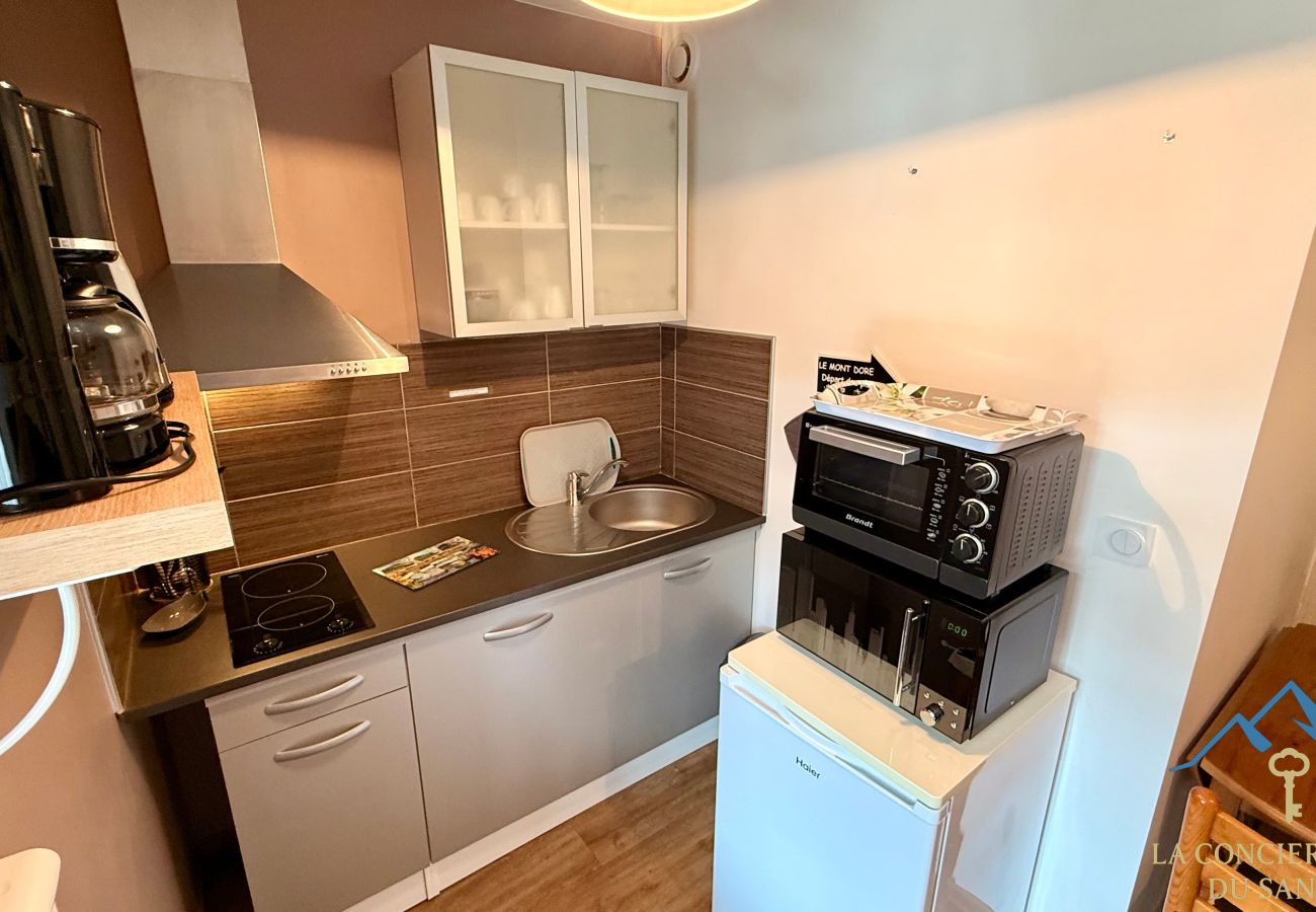 Apartment in Mont-Dore - Villa Mont Dore 2