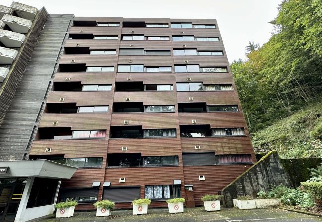 Appartement à Mont-Dore - Le Pradet C 513 - Le Mont Dore 4pers Appartement à Mont-Dore - Le Pradet C 513 - Le Mont Dore 4pers