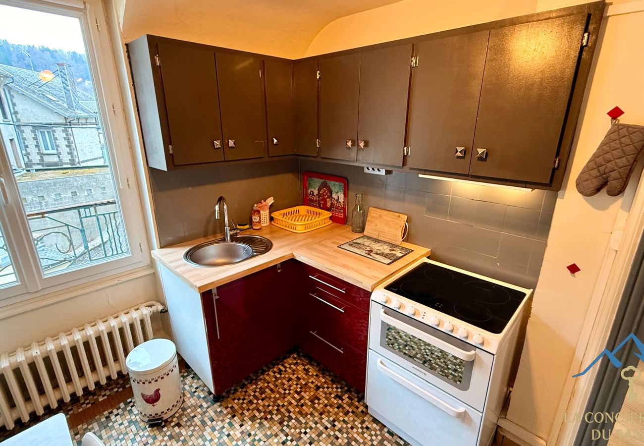 Appartement à Mont-Dore - Le marcassin Le Mont Dore 8pers