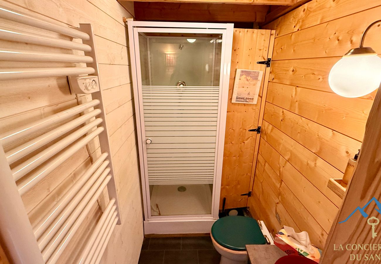 Studio à Mont-Dore - Le Sapin 43