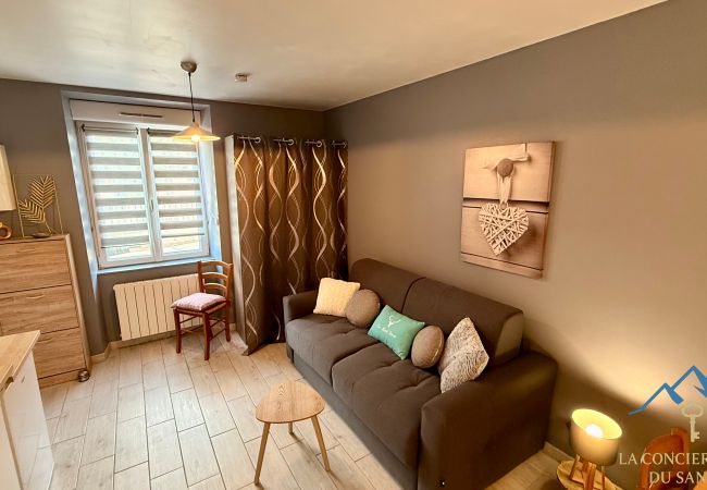 Studio à Mont-Dore - Villa Mont Dore Studio 1